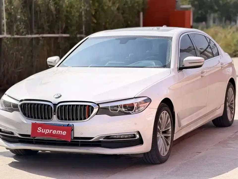 BMW 5 Series 525Li Luxury Package 2019