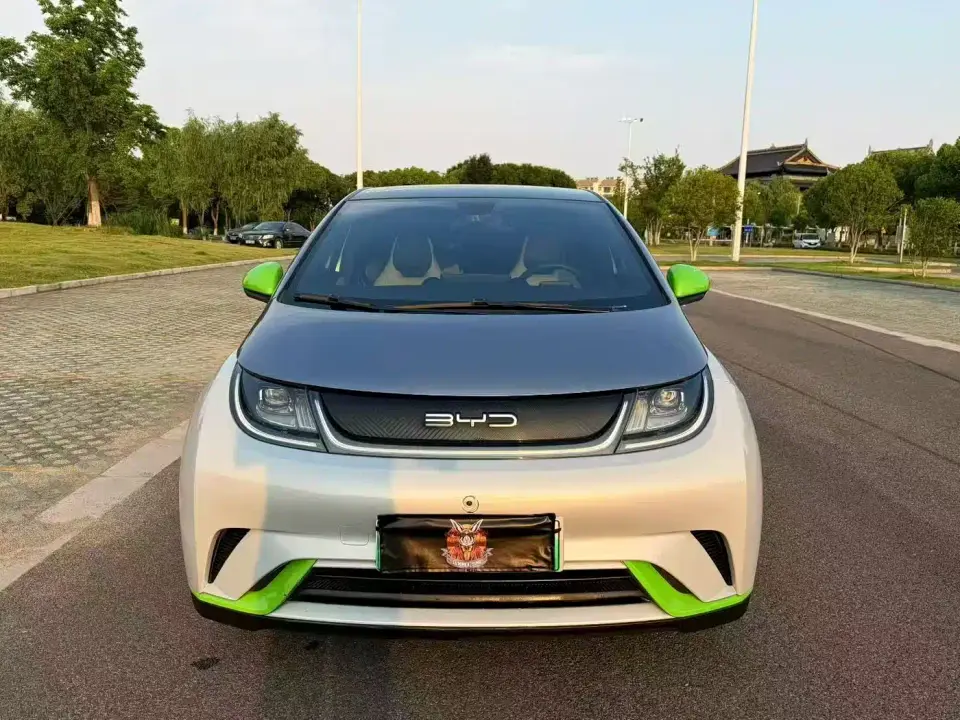 BYD Dolphin Model 405km Fashion Edition 2022