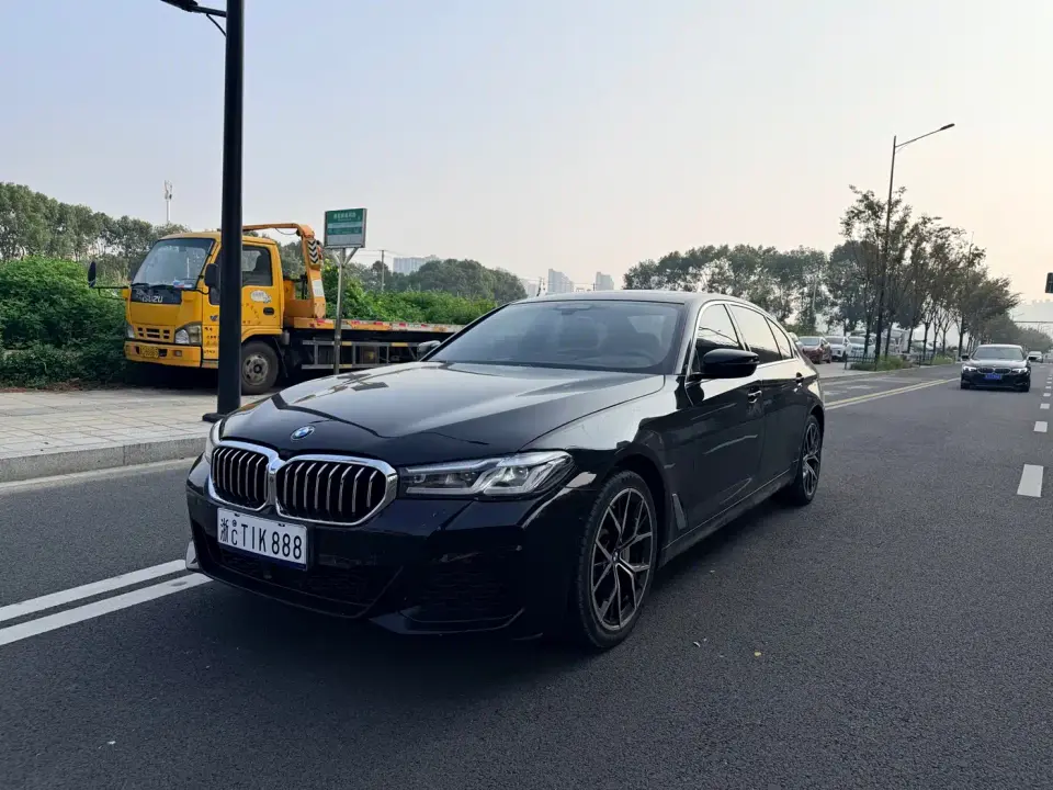 BMW 5 Series 530Li Executive M Sport Package 2020