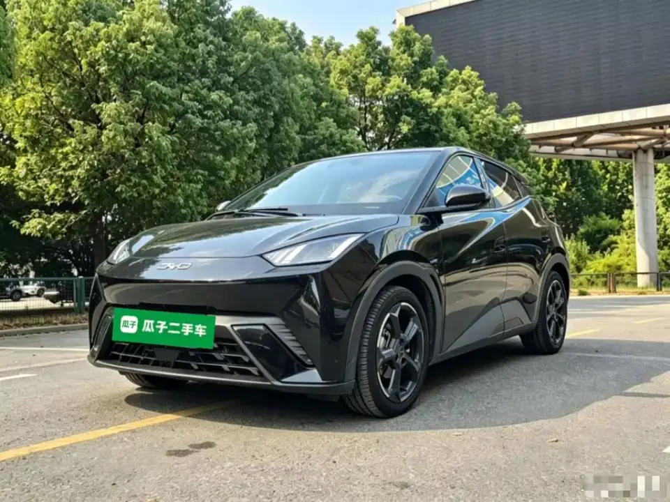 BYD Seagull Flying Edition 2023