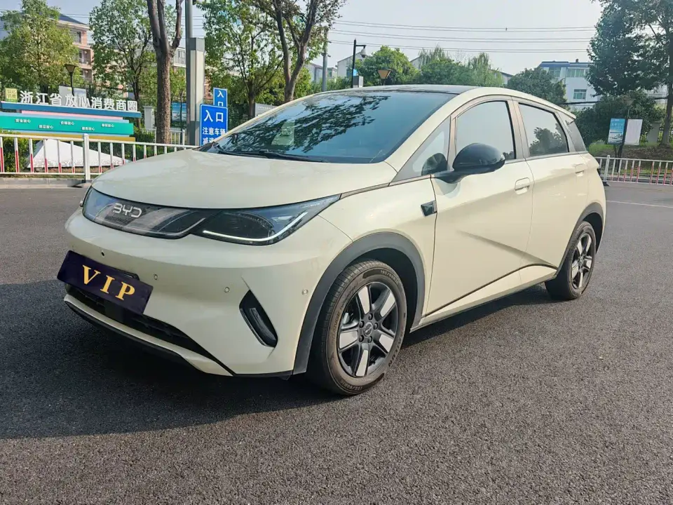 BYD Dolphin Smart Drive Edition 410km Fashion Version 2025