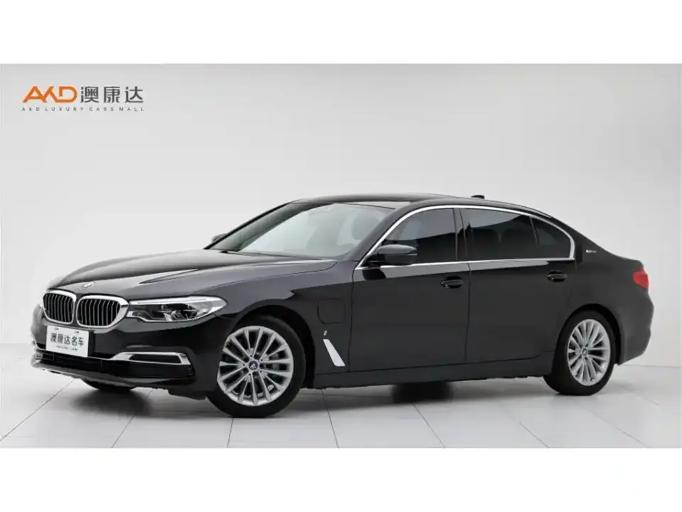 BMW 5 Series New Energy Facelift 530Le Luxury Package 2019
