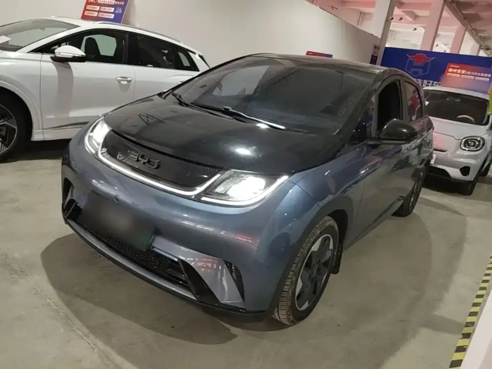 BYD Dolphin Glory Edition 420km Fashion Edition 2024