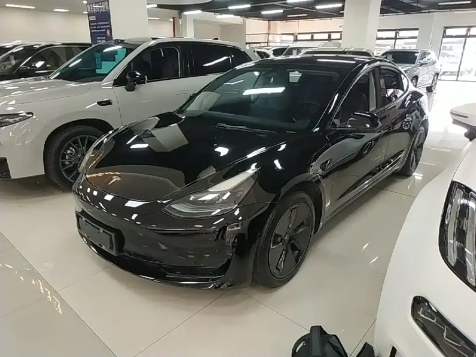 Tesla Model 3 Model Rear-Wheel Drive Version 2022
