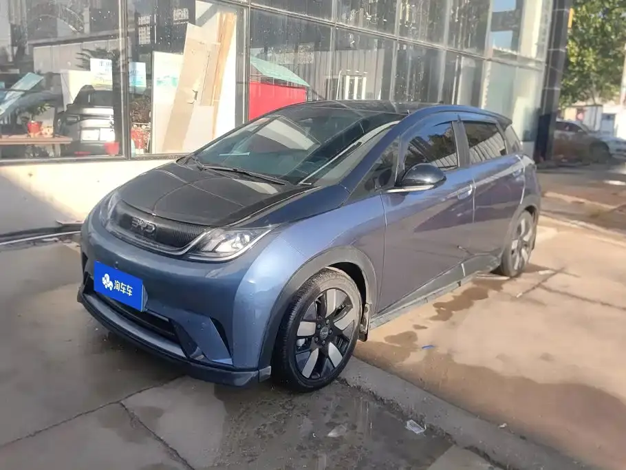 BYD Dolphin 520km Knight Edition 2024