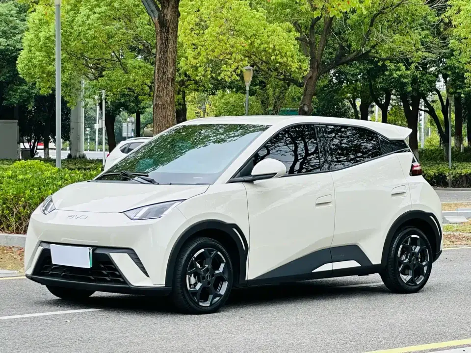 BYD Seagull Glory Edition 305km Freedom Edition 2024