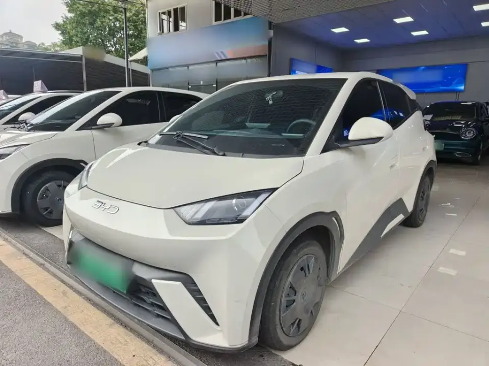 BYD Seagull Glory Edition 305km Vitality Edition 2024