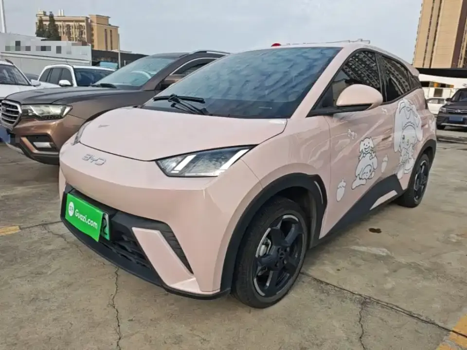 BYD Seagull Glory Edition 305km Freedom Edition 2024