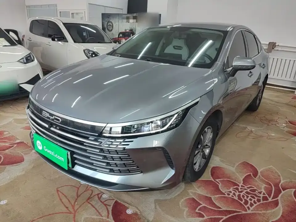 BYD Destroyer 05 Glory Edition DM-i 55KM Luxury 2024