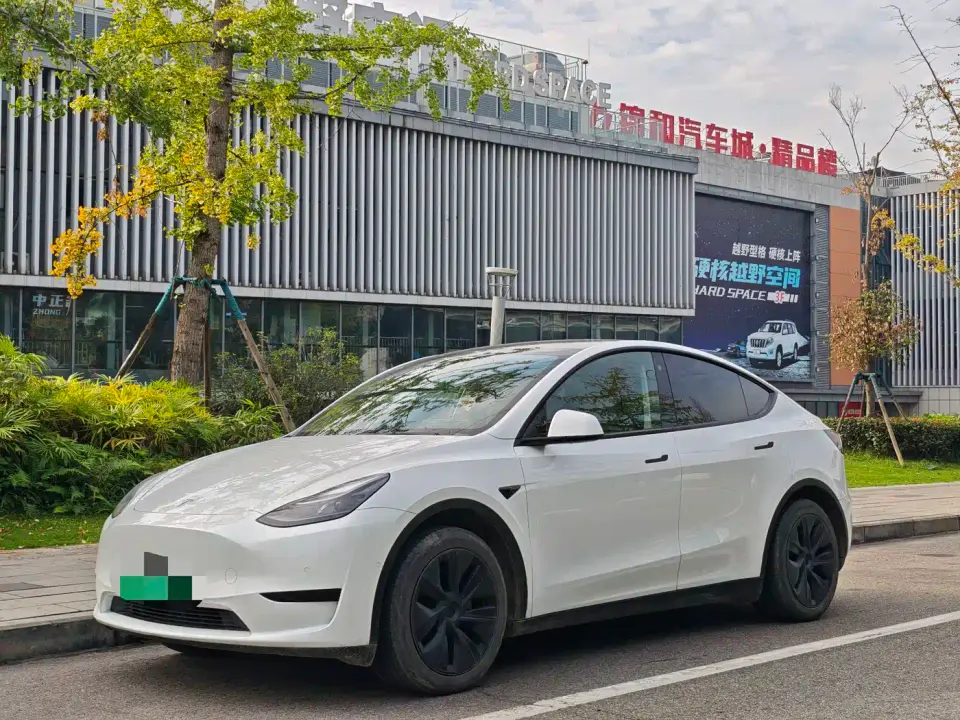 Tesla Model Y Rear-Wheel Drive Edition 2024