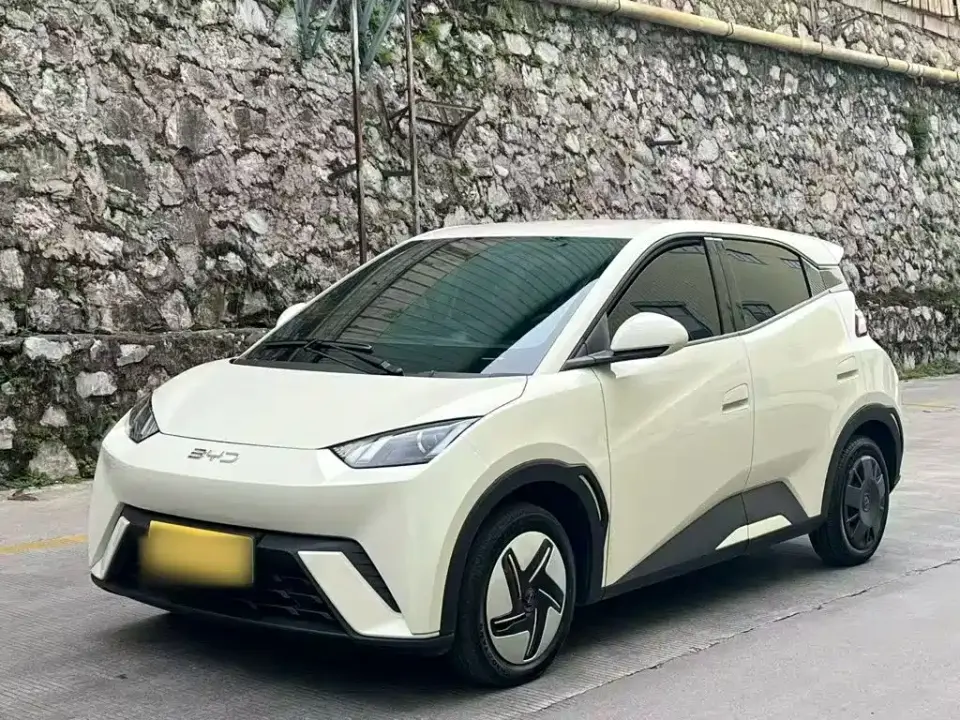 BYD Seagull 305km Vitality 2024