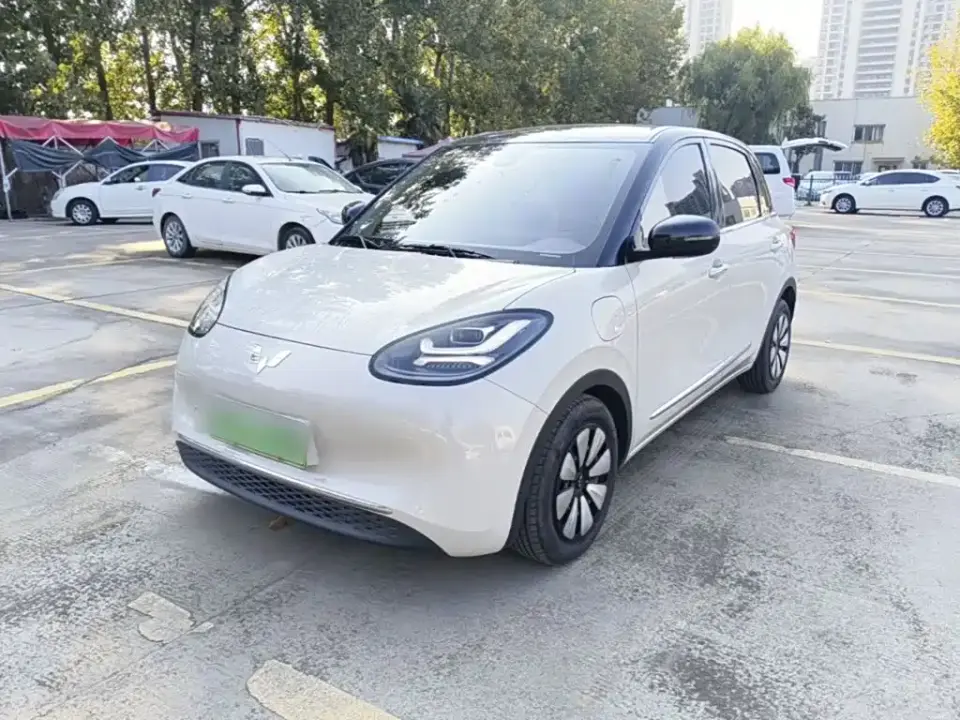 Wuling Motors Wuling Bingo Model 333km Joy+ Version 2023