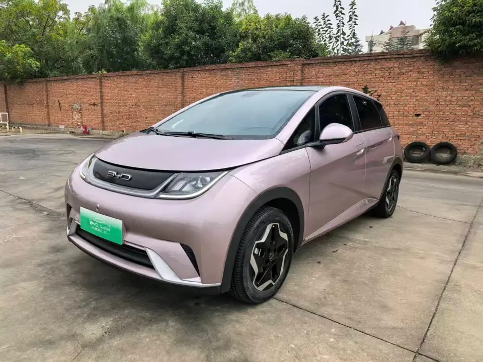 BYD Dolphin Model 405km Fashion Edition 2022