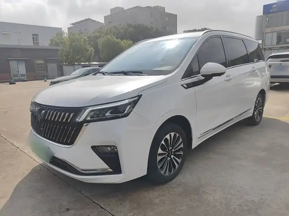 Wuling Motors Wuling Jiachen 1.5T CVT Exclusive Flagship Model 2023