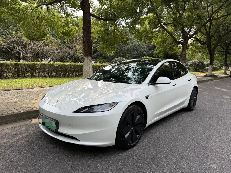 Tesla Model 3 Model Rear-Wheel Drive Edition 2025