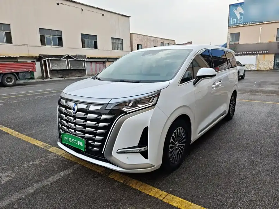 Denza D9 DM-i 1050 Premium 2024