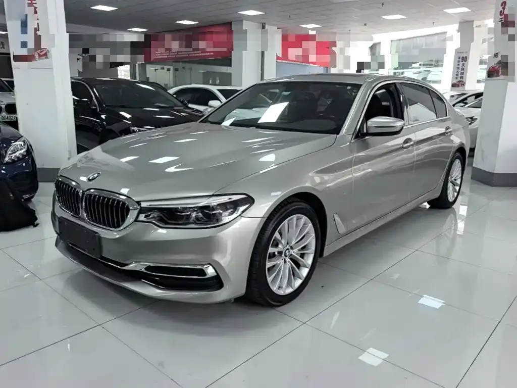 BMW 5 Series 530Li Leading Luxury Package 2020