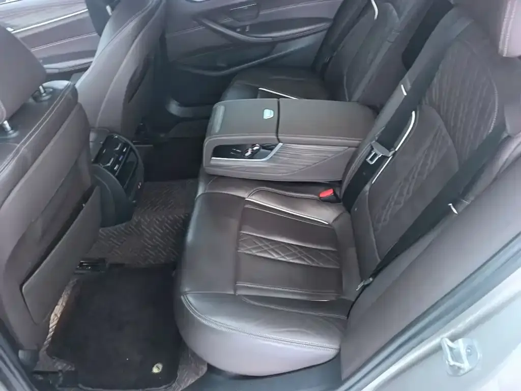 BMW 5 Series 530Li Leading Luxury Package 2020 — фото 16