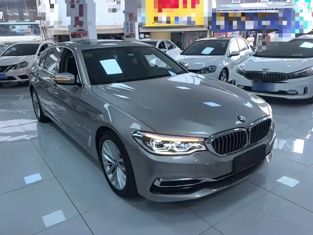 BMW 5 Series 530Li Leading Luxury Package 2020 — фото 3