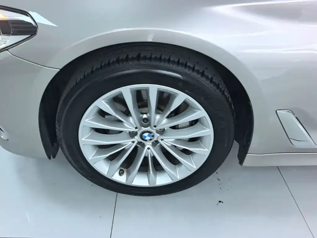 BMW 5 Series 530Li Leading Luxury Package 2020 — фото 22