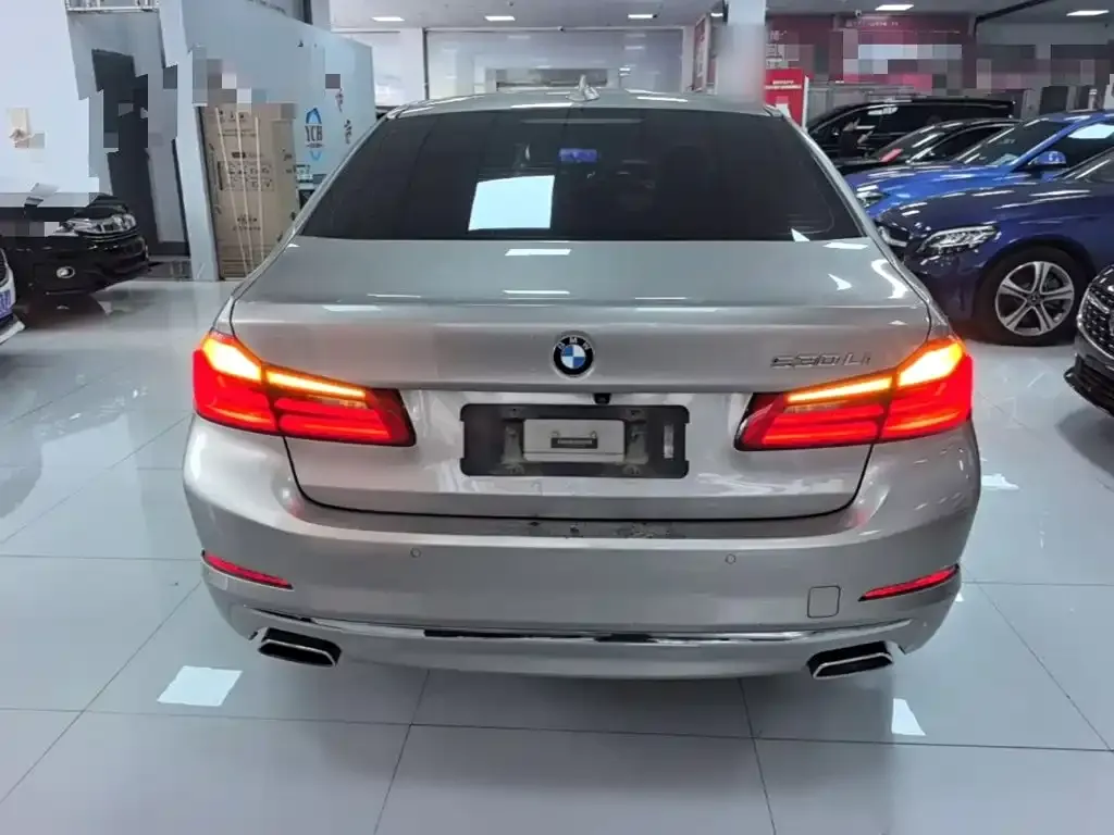 BMW 5 Series 530Li Leading Luxury Package 2020 — фото 5