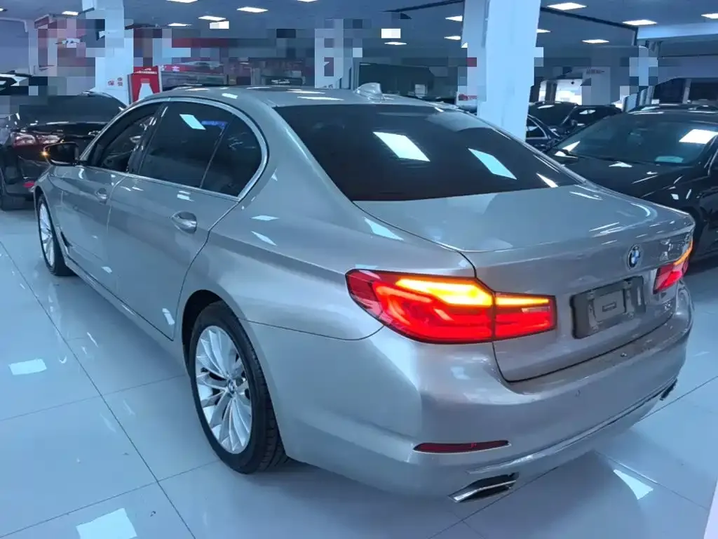 BMW 5 Series 530Li Leading Luxury Package 2020 — фото 4