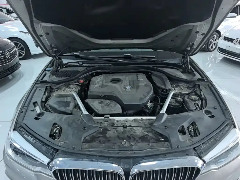 BMW 5 Series 530Li Leading Luxury Package 2020 — фото 19