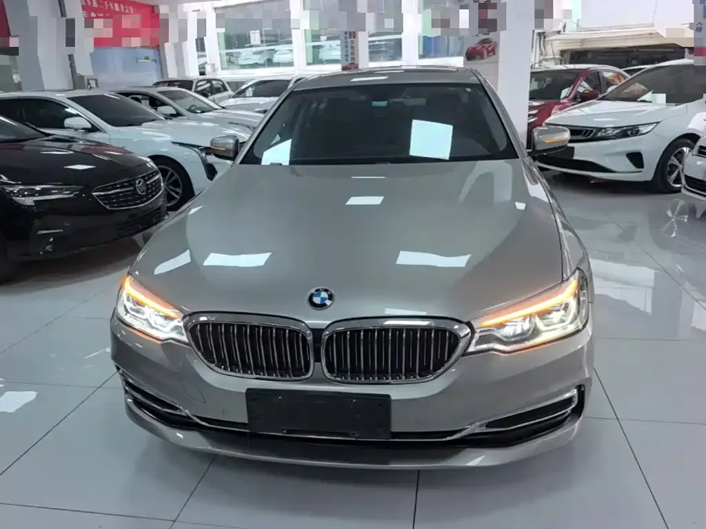 BMW 5 Series 530Li Leading Luxury Package 2020 — фото 2