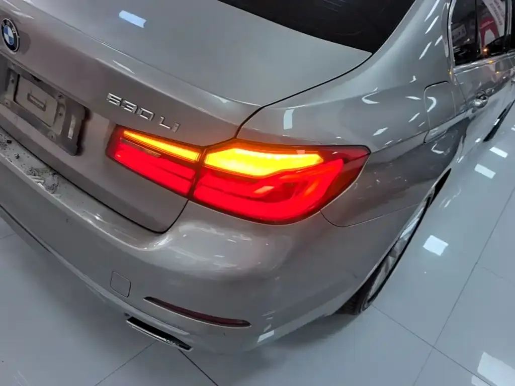 BMW 5 Series 530Li Leading Luxury Package 2020 — фото 7