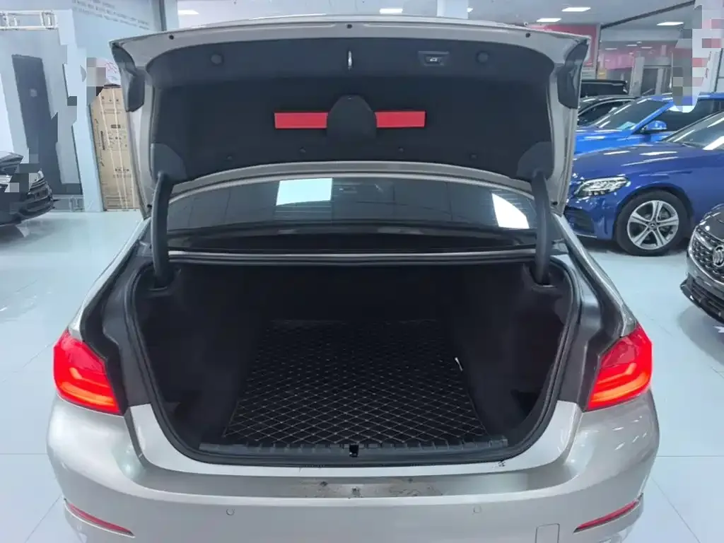 BMW 5 Series 530Li Leading Luxury Package 2020 — фото 18