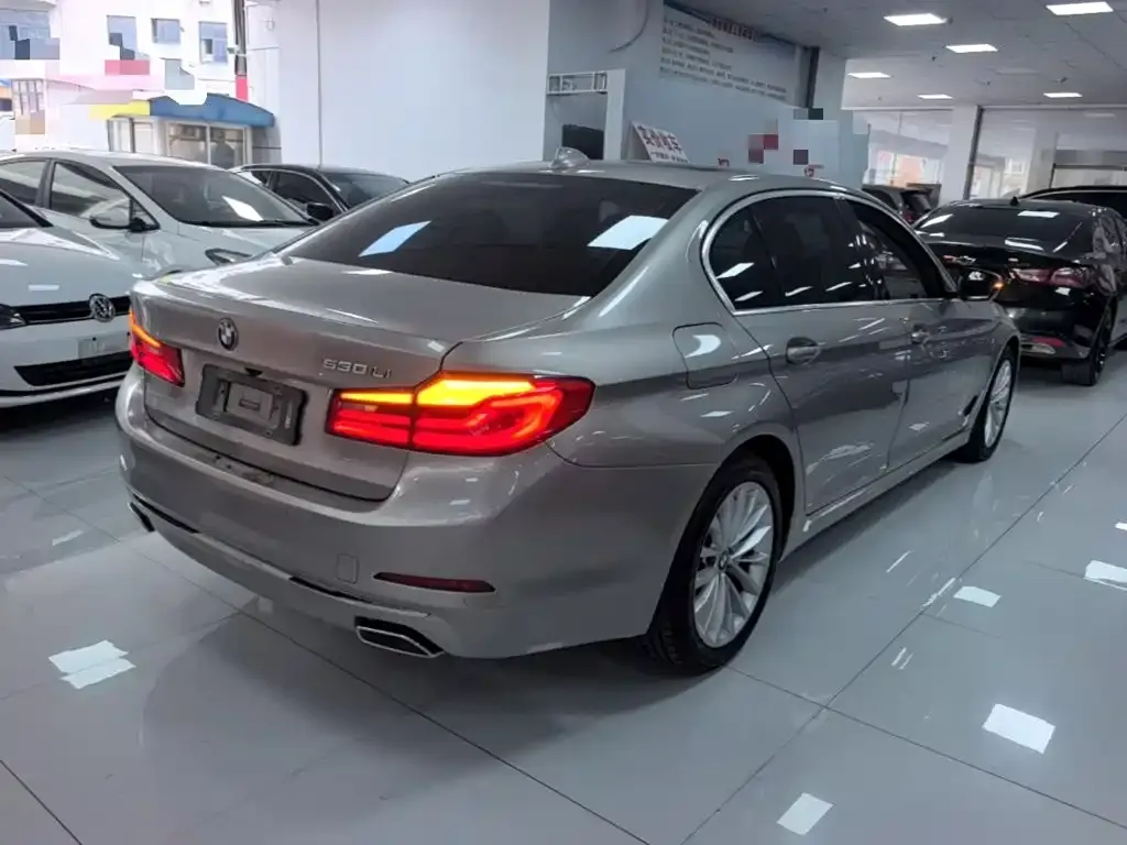 BMW 5 Series 530Li Leading Luxury Package 2020 — фото 6
