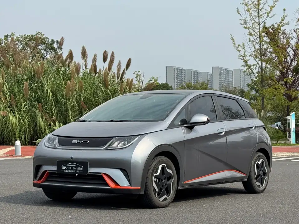 BYD Dolphin 420km Freedom Edition 2022