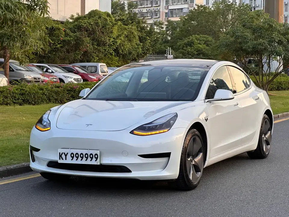Tesla Model 3 (Import) Standard Range RWD Upgraded Edition 2019