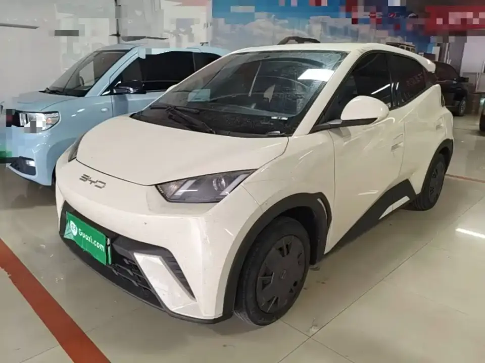 BYD Seagull Vitality Edition 2024