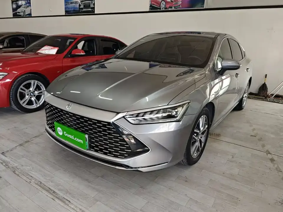 BYD Qin PLUS DM-i 55KM Flagship 2022