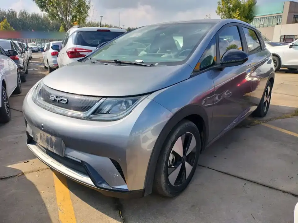 BYD Dolphin 420km Fashion Edition 2024