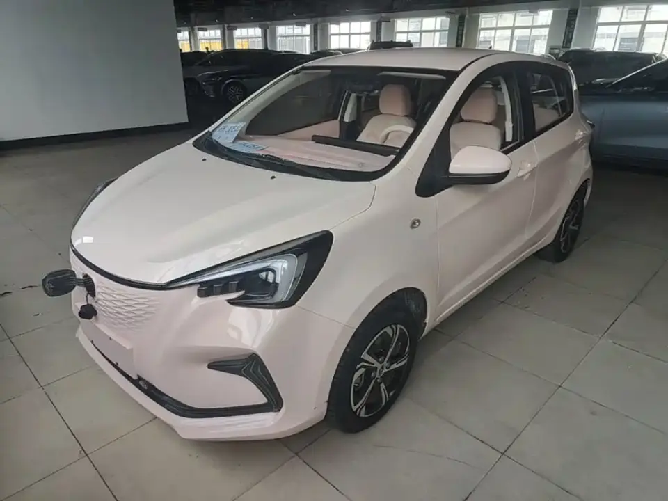 Changan Oshan Benben E-Star Colorful Edition LFP 2024