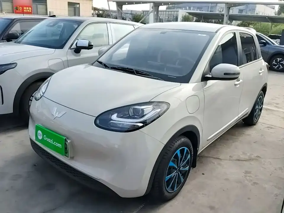 Wuling Motors Wuling Bingo 203km Lite Edition 2024