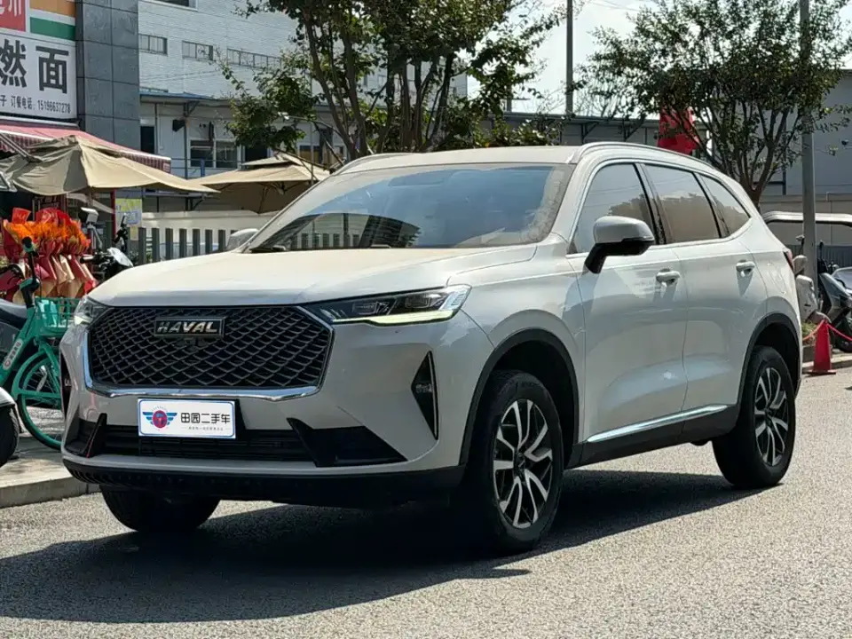 Haval H6 3rd Gen 1.5T Auto 2WD Pro 2023
