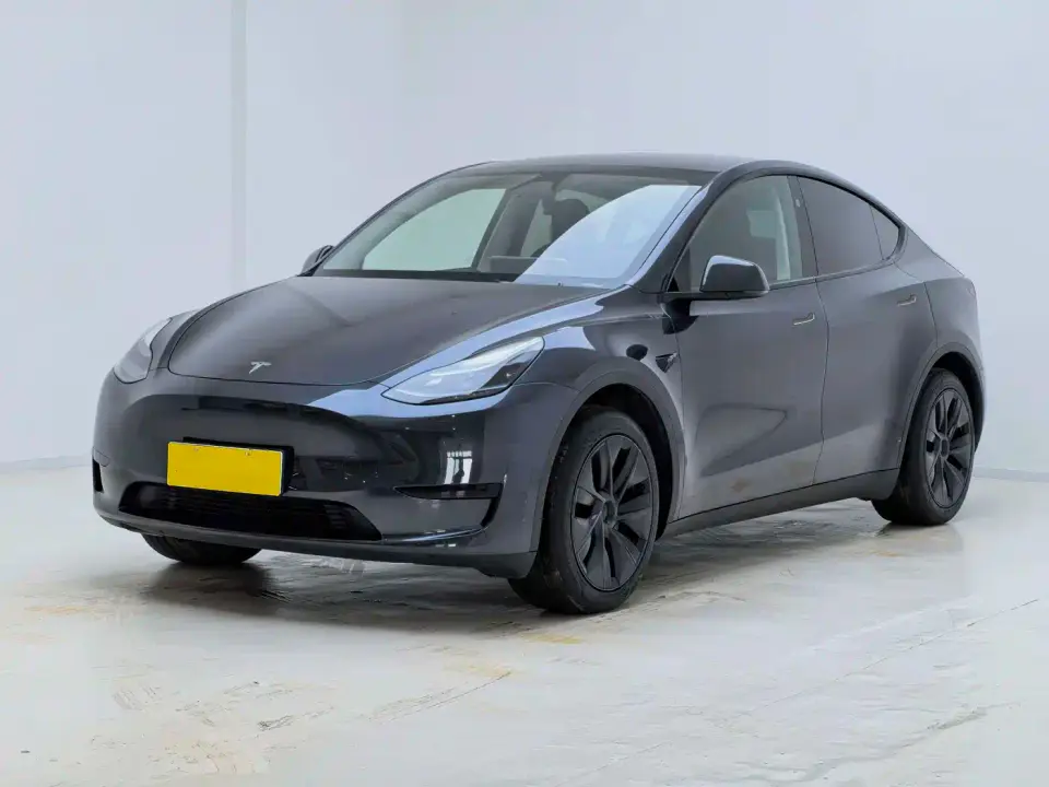 Tesla Model Y Rear-Wheel Drive Version 2024