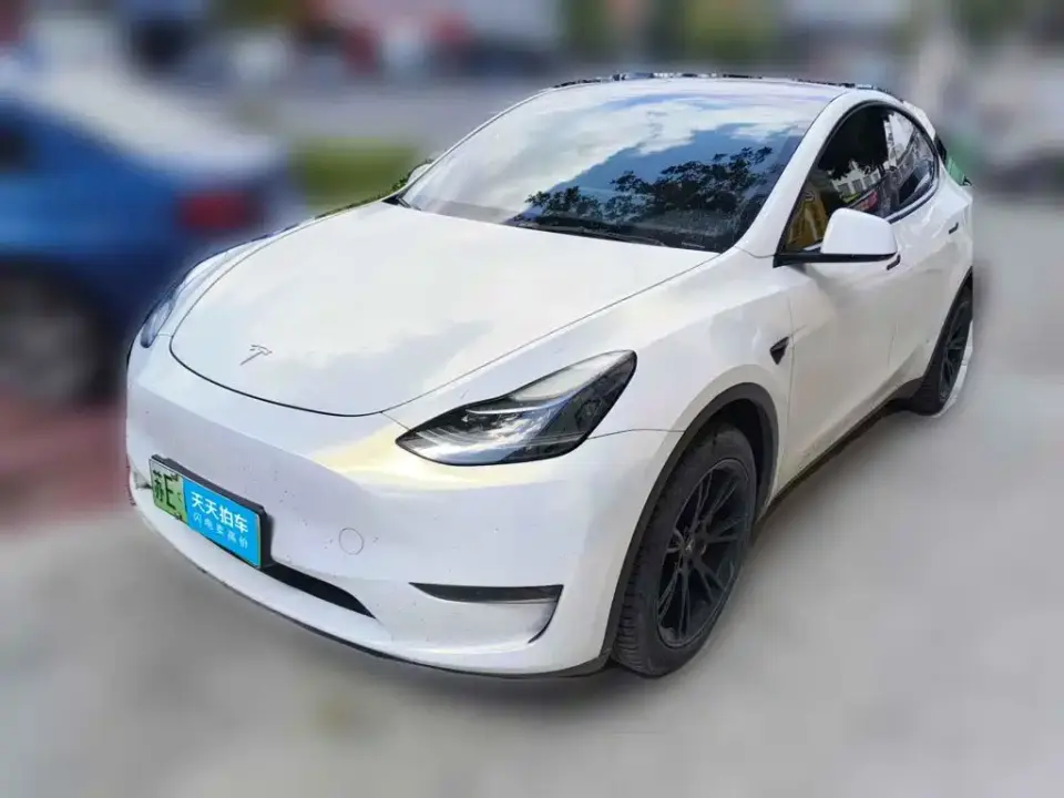 Tesla Model Y Standard Range Rear-Wheel Drive 2021