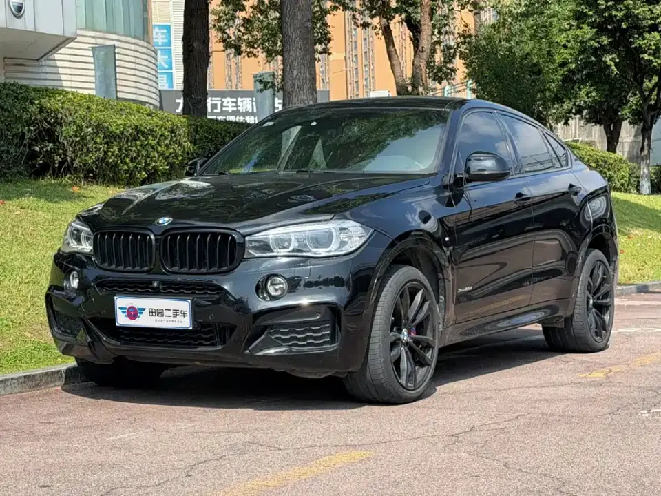 BMW X6 xDrive35i M Sport Package 2019
