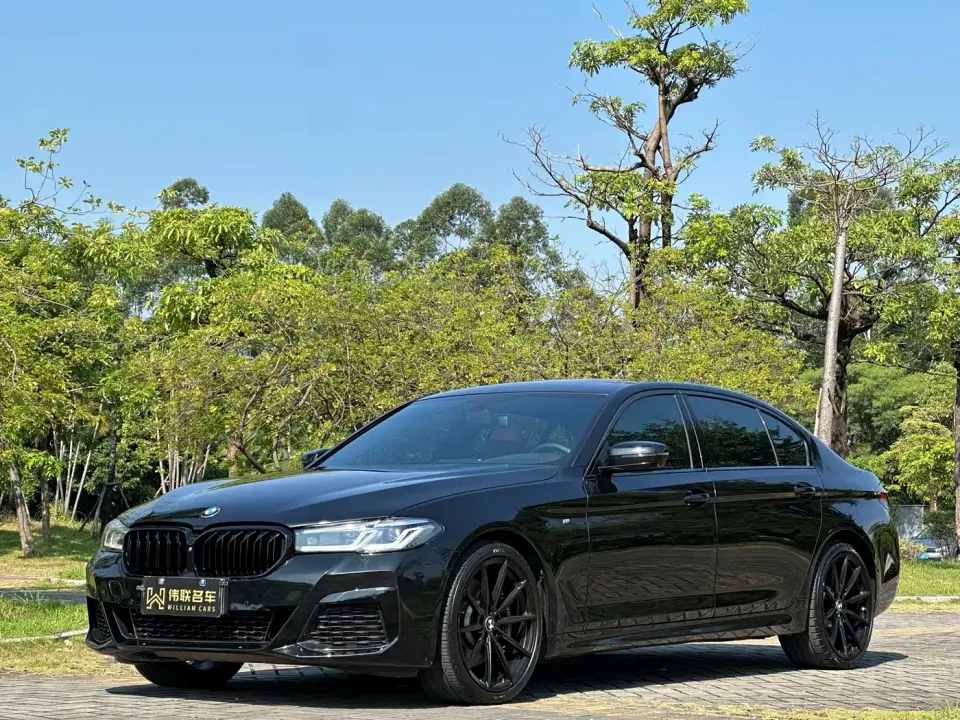 BMW 5 Series 530Li Leading M Sport Package 2020