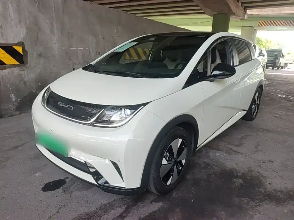 BYD Dolphin 420km Freedom Edition 2023