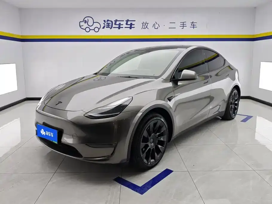 Tesla Model Y Standard Range Rear-Wheel Drive 2021
