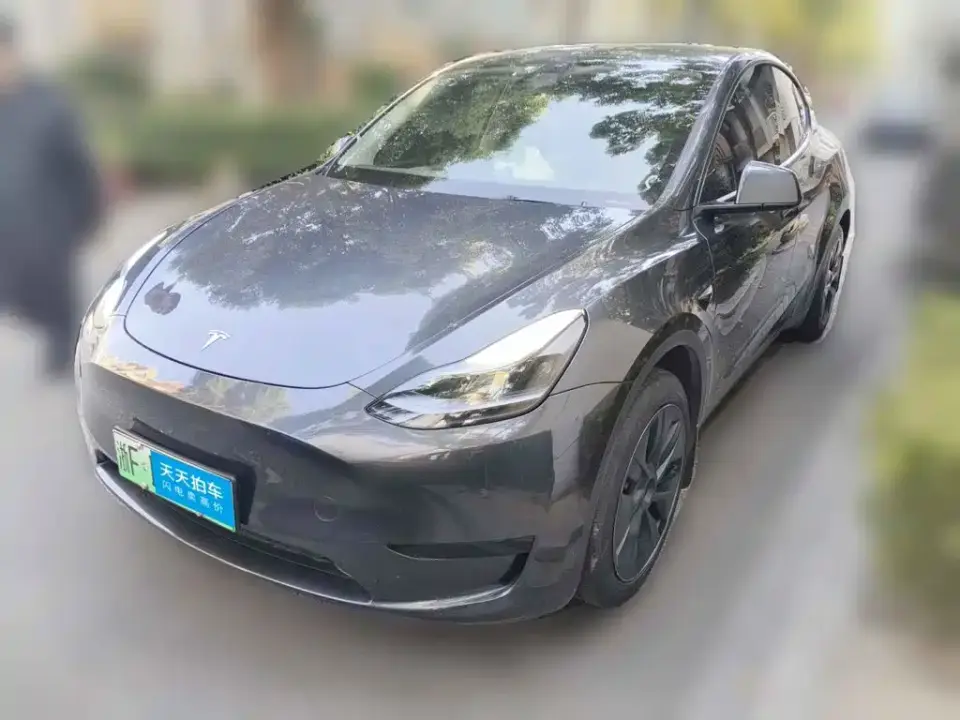 Tesla Model Y Rear-Wheel Drive Version 2024
