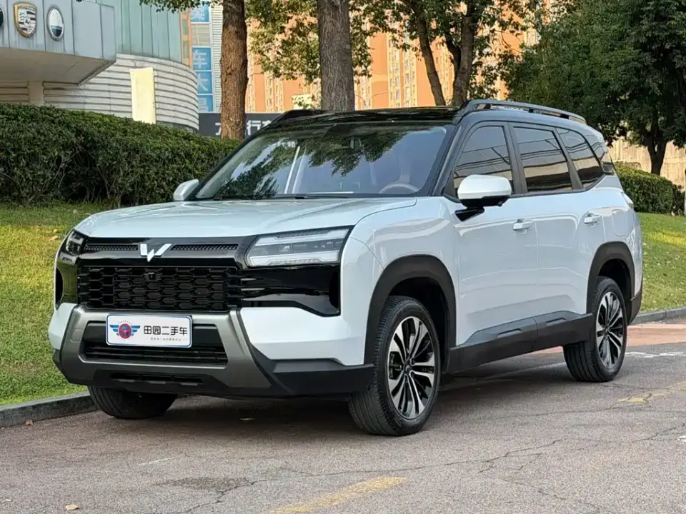 Wuling Motors Starlight 560 NEV Model Plug-in Hybrid Version 5-seater 2025