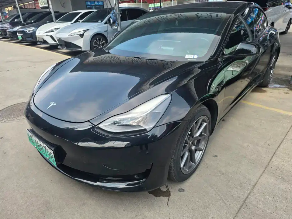 Tesla Model 3 Standard Range Rear-Wheel Drive Upgrade 2021
