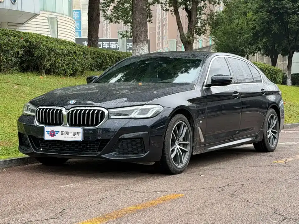 BMW 5 Series New Energy Facelift 535Le Luxury Package 2021
