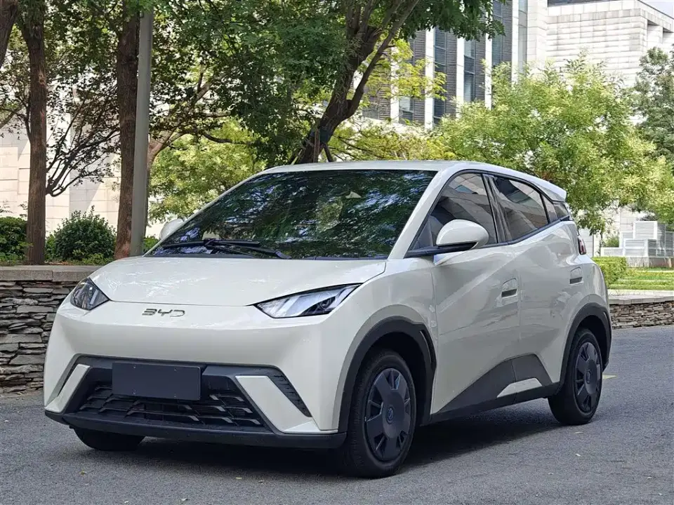 BYD Seagull Glory Edition 305km Vitality Edition 2025